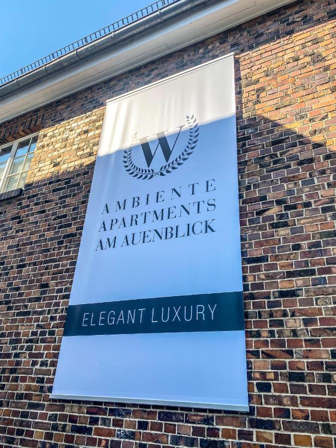 Ambiente Apartments 萨勒河畔瑙姆堡 外观 照片